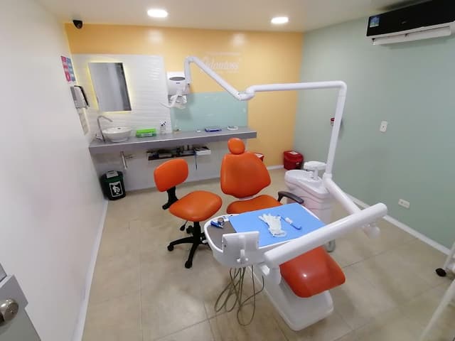 Odontoss photo 3