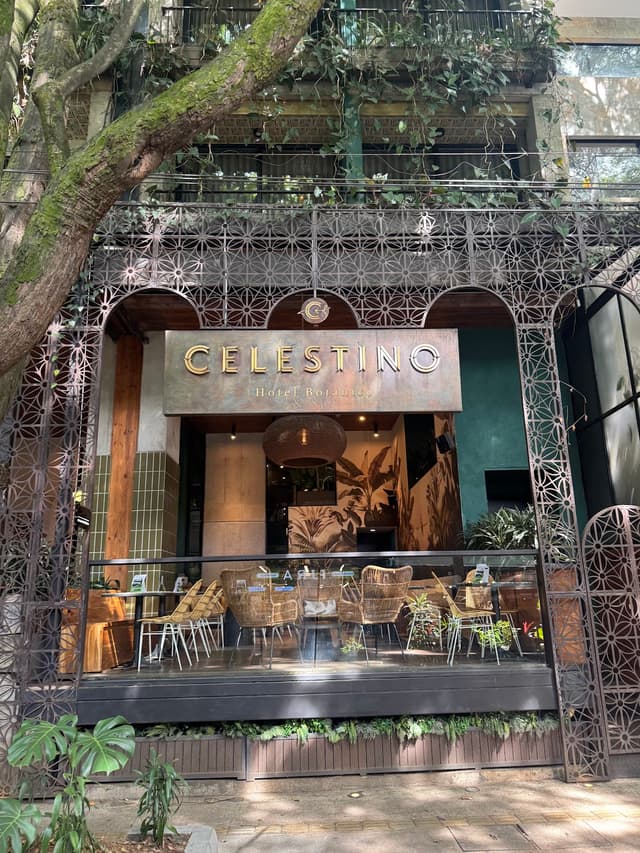 Celestino Spa Medellin photo 2
