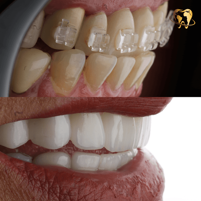 Dental Experience photo 2