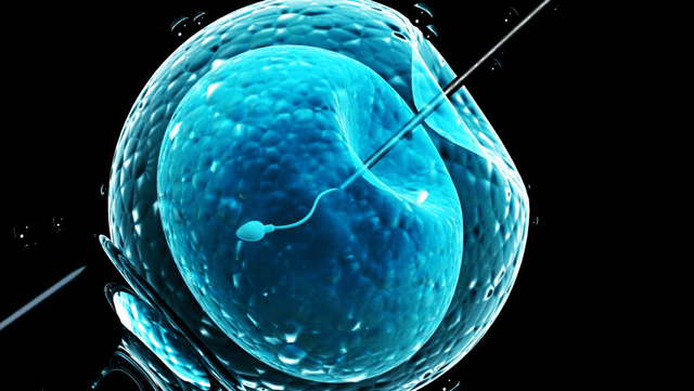 Dr. Carlos Zorro - Especialista en Fertilidad