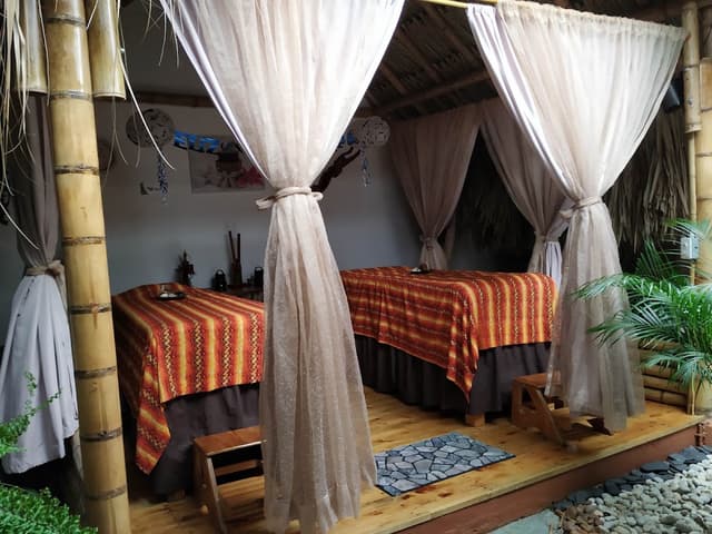 Estetica Brassia photo 3