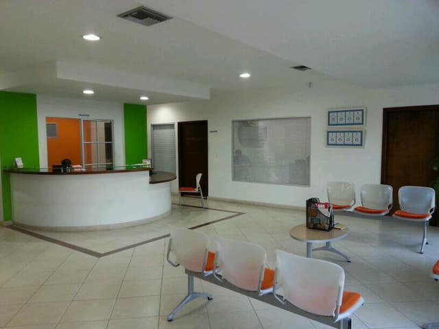 Odontig photo 3
