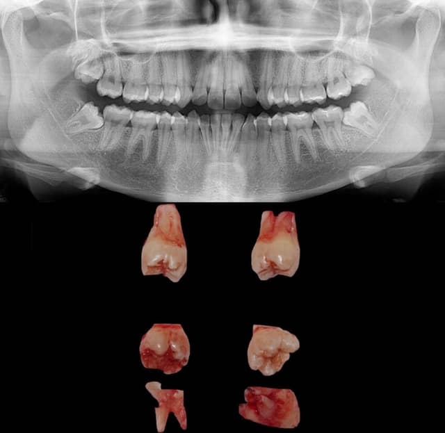 Odontología GO
