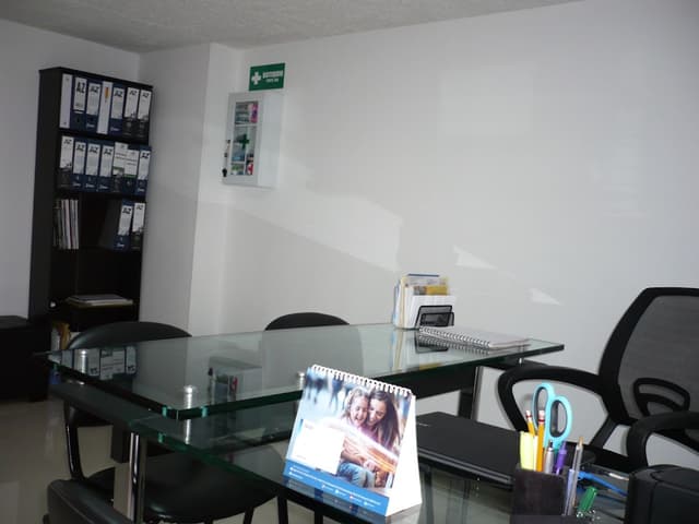 Proteger IPS photo 2