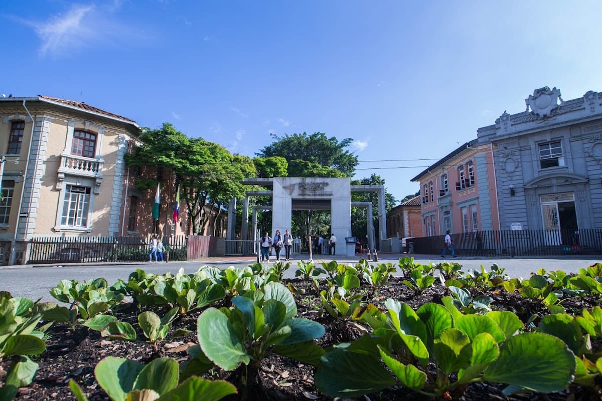 San Vicente Fundacion