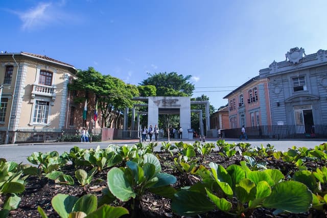 San Vicente Fundacion