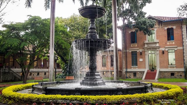 San Vicente Fundacion photo 2
