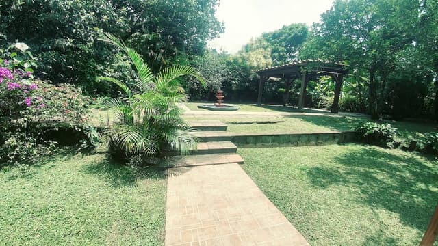 Viva Spa Poblado photo 3