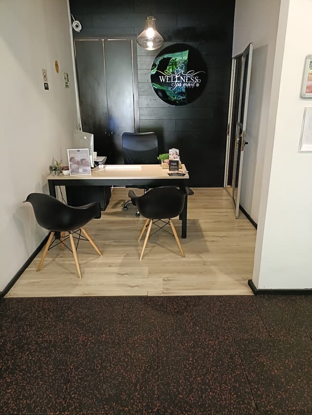 Wellness Spa Movil photo 3